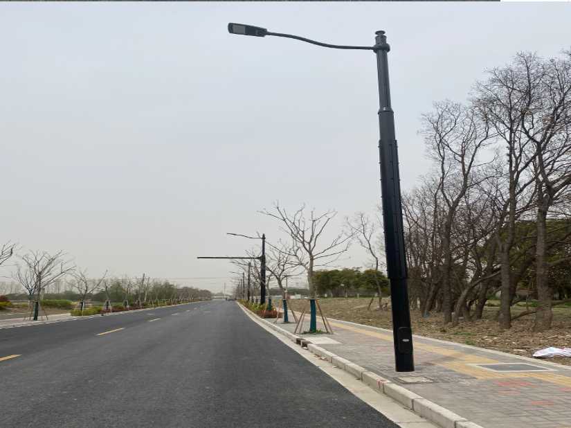 青白江区上海综合杆 太阳能路灯工程